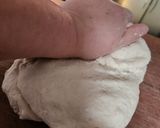 Foto del paso 1 de la receta: Gyozas de Cerdo
