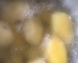 A picture of step 1 of Potato ball.