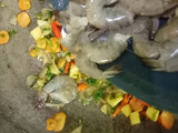 Udang Sayur Bumbu Lada Hitam