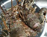 Foto langkah ke 1 dari resep Lobster Saus Padang.