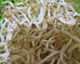 Foto langkah ke 1 dari resep Urap Bayam, Tauge, dan Kacang Panjang.