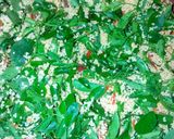 A picture of step 2 of Dambun zogale.