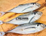 Gambar langkah 1 resipi 👩🍳Ikan Cencaru Goreng Berempah.