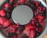 Mixed Berry Fruit Ice-Ring Made With Non-Alcoholic Sangria Served With Cornish Ice Cream