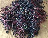 Foto del paso 1 de la receta: Mermelada de saúco