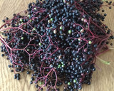 Foto del paso 1 de la receta: Mermelada de saúco