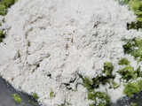 Hamburger (mini) di broccoli,piselli e pesto🌱