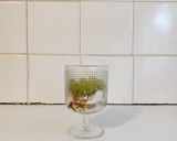 A picture of step 6 of Cotton Candy Grapes Parfait.