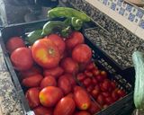 Foto del paso 1 de la receta: Crema de tomate