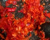 Foto langkah ke 2 dari resep Kalio daging sapi.