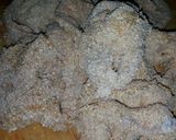 Foto del paso 5 de la receta: Rabas