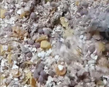 Foto del paso 2 de la receta: Granola casera🤓