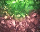 Foto langkah ke 2 dari resep Salad Jelly.