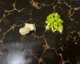 Foto langkah ke 1 dari resep Gamjajeon (Korean Potato Pancake).