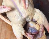 Foto del paso 1 de la receta: Pato asado y relleno