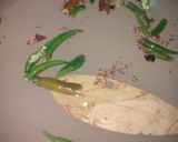 A picture of step 4 of Chicken Biryani.
