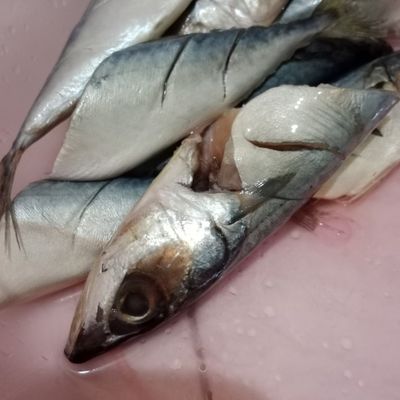 Langkah 1