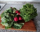 Foto del passaggio 1 della ricetta Salsa con insalata e verde di ravanelli