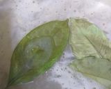 Foto langkah ke 3 dari resep Lodeh sayur campur sarden.