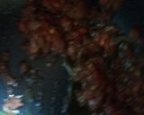 A picture of step 2 of Yam Balls.