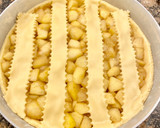 Foto del paso 9 de la receta: Apple pie (Pie de manzana)