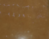 Foto del paso 4 de la receta: Carrot Cake