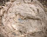 Hình bước làm 2 của món Bánh Cookie Hạt Chocolate