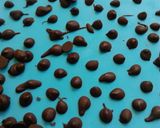 Une image de l'étape 5 de Pépites de chocolat fait maison et pas cher.