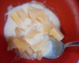 Foto del paso 4 de la receta: Vasitos de Coco con Yogurt de Ananá
