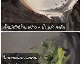 รูปขั้นตอนการทำที่ 2 ของ สาคูเปียกมะพร้าวอ่อน