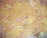 Foto del paso 7 de la receta: Arroz al Horno con Alitas de Pollo y Secreto Ibérico en Fuente de Barro