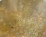 صورة لخطوة 12 من وصفة مقلوبة