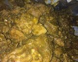 Foto langkah ke 10 dari resep Bebek rica-rica cabe ijo.