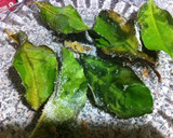 Foto del paso 7 de la receta: Paparajotes