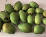 Hình bước làm 1 của món Xoài chấm mắm đường