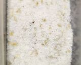 Foto del paso 3 de la receta: Trucha curada