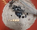 點心/甜點 - Oreo巧克力布朗尼😈的食譜步驟4照片