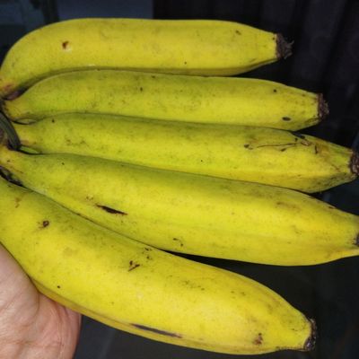 Langkah 2