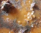 Foto del paso 5 de la receta: Locro de maíz blanco y porotos