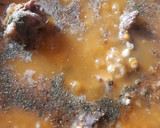 Foto del paso 5 de la receta: Locro de maíz blanco y porotos