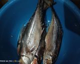 Foto langkah ke 1 dari resep Ikan Goreng.