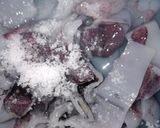 Foto langkah ke 1 dari resep Cumi Balado Pete.