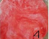 A picture of step 5 of Gift box.. box patties.
