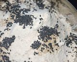 A picture of step 2 of Papaya Multi Grain Waffle.