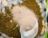 A picture of step 2 of JalJeera Drink.