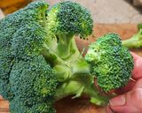 Foto del passaggio 1 della ricetta Pan-broccolo