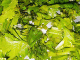 तहरी (Tehri recipe in hindi)