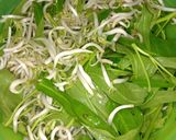 Foto langkah ke 1 dari resep Tumis kangkung tauge bakso.