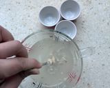 阿嬤的爆茄佛卡夏(全麥麵粉低溫發酵)的食譜步驟4照片