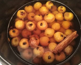 Foto del paso 3 de la receta: Tejocotes en almíbar